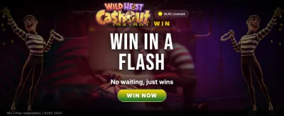 Wild Heist: Grab Your Cash